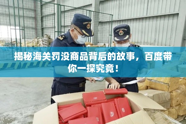 揭秘海关罚没商品背后的故事,百度带你一探究竟!