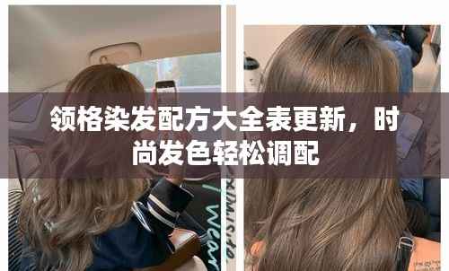 领格染发配方大全表更新,时尚发色轻松调配