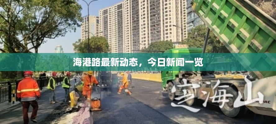 海港路最新动态,今日新闻一览