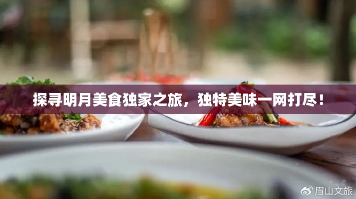探寻明月美食独家之旅,独特美味一网打尽!