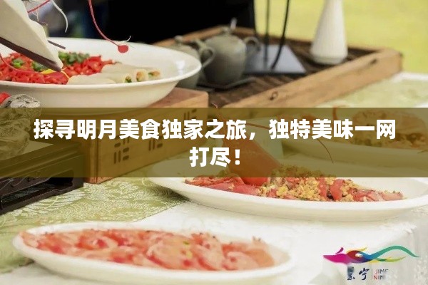 探寻明月美食独家之旅,独特美味一网打尽!