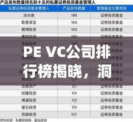 PE VC公司排行榜揭晓,洞悉中国私募股权投资行业领军者