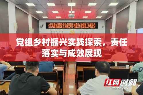 党组乡村振兴实践探索，责任落实与成效展现