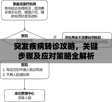 突发疾病转诊攻略,关键步骤及应对策略全解析