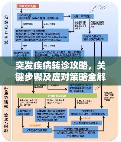 突发疾病转诊攻略,关键步骤及应对策略全解析