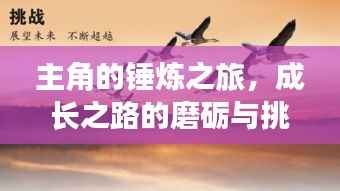 主角的锤炼之旅,成长之路的磨砺与挑战