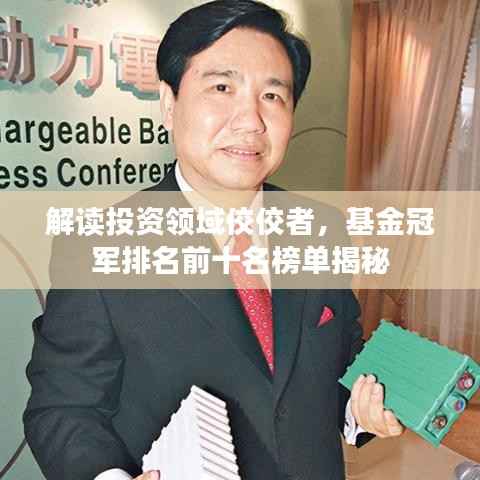 解读投资领域佼佼者,基金冠军排名前十名榜单揭秘