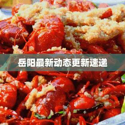 饭来张口 第4页