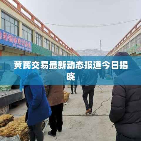 黄芪交易最新动态报道今日揭晓