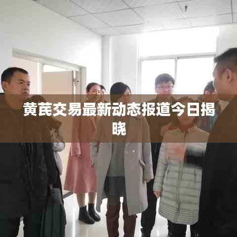 黄芪交易最新动态报道今日揭晓