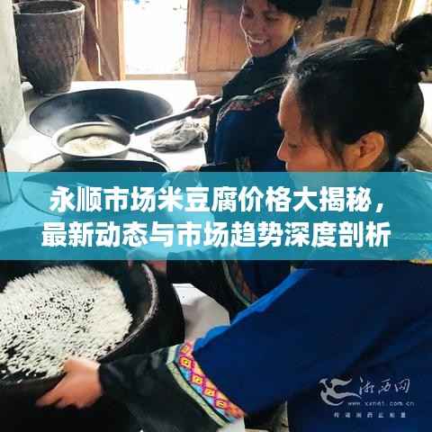 永顺市场米豆腐价格大揭秘,最新动态与市场趋势深度剖析