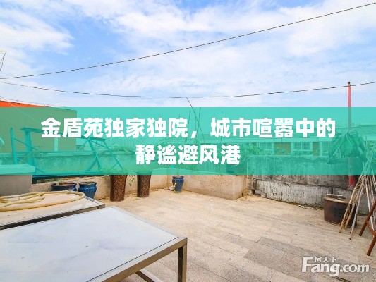 金盾苑独家独院,城市喧嚣中的静谧避风港