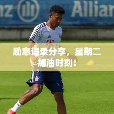 励志语录分享，星期二加油时刻！