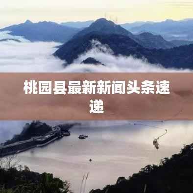 桃园县最新新闻头条速递