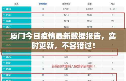 厦门今日疫情最新数据报告,实时更新,不容错过!