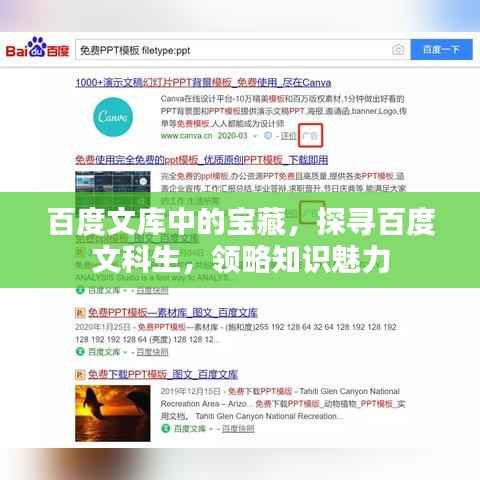 百度文库中的宝藏,探寻百度文科生,领略知识魅力