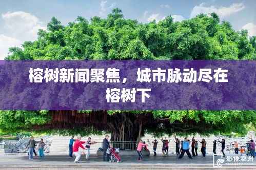 榕树新闻聚焦，城市脉动尽在榕树下