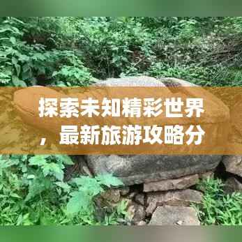 羊肠鸟道 第4页