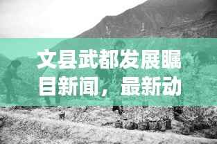 文县武都发展瞩目新闻,最新动态与亮点解析