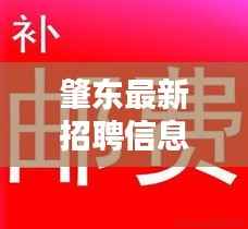 肇东最新招聘信息今日速递
