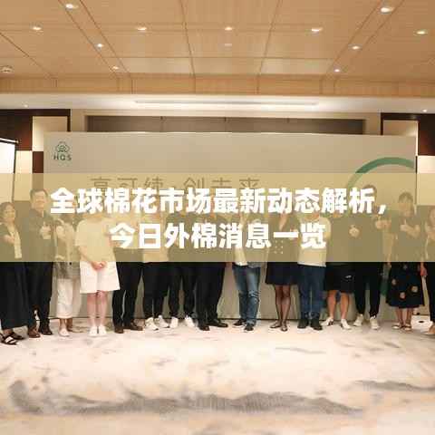 全球棉花市场最新动态解析，今日外棉消息一览