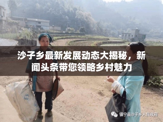 沙子乡最新发展动态大揭秘,新闻头条带您领略乡村魅力