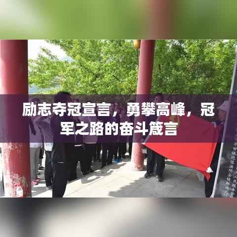 励志夺冠宣言,勇攀高峰,冠军之路的奋斗箴言