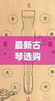 最新古琴选购指南，带你了解古琴选购全攻略！