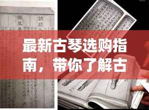 最新古琴选购指南,带你了解古琴选购全攻略!
