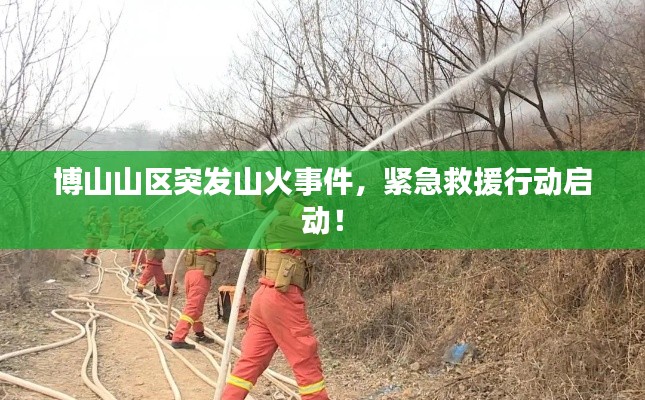 博山山区突发山火事件,紧急救援行动启动!