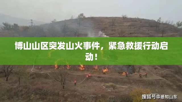博山山区突发山火事件,紧急救援行动启动!