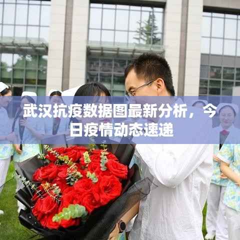 武汉抗疫数据图最新分析,今日疫情动态速递