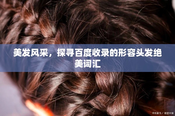 美发风采,探寻百度收录的形容头发绝美词汇