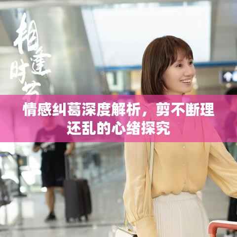 情感纠葛深度解析，剪不断理还乱的心绪探究