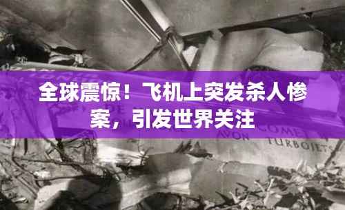 全球震惊!飞机上突发杀人惨案,引发世界关注