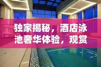 独家揭秘,酒店泳池奢华体验,观赏视频感受新境界