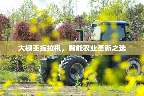 大棚王拖拉机,智能农业革新之选