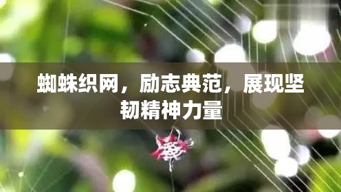一往无前 第4页