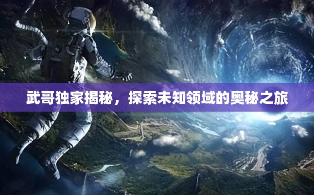 武哥独家揭秘,探索未知领域的奥秘之旅