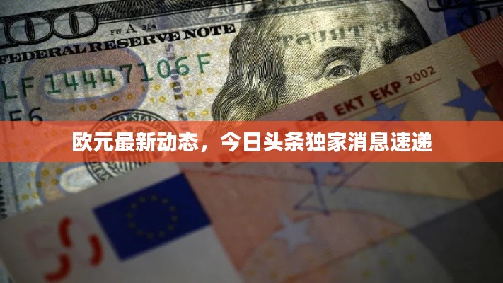 欧元最新动态,今日头条独家消息速递