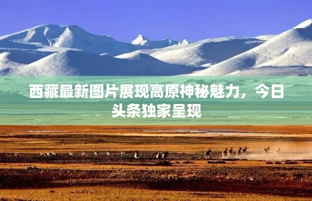 西藏最新图片展现高原神秘魅力,今日头条独家呈现