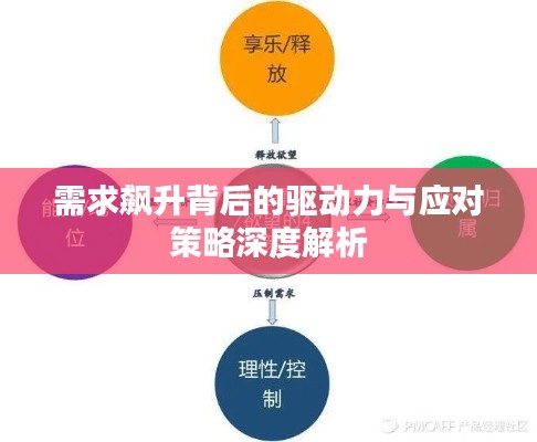 需求飙升背后的驱动力与应对策略深度解析