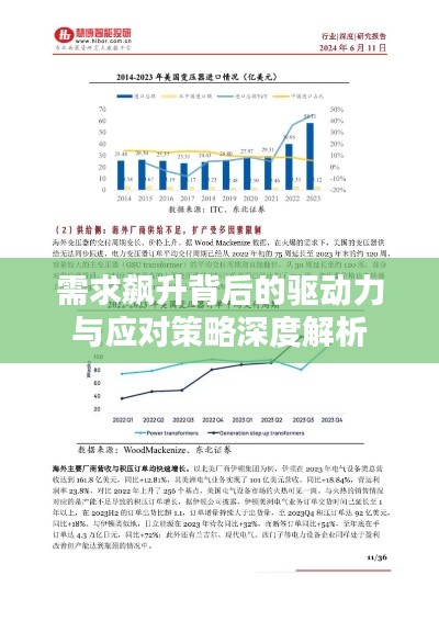 需求飙升背后的驱动力与应对策略深度解析