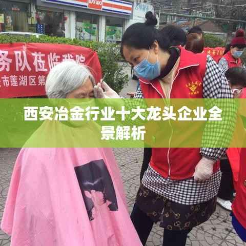 西安冶金行业十大龙头企业全景解析