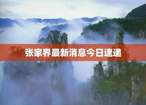张家界最新消息今日速递