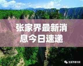 张家界最新消息今日速递