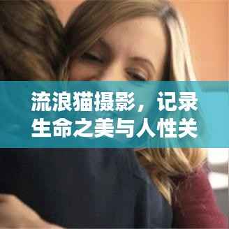 流浪猫摄影,记录生命之美与人性关怀专题