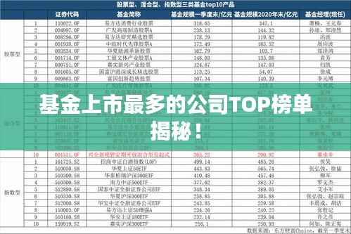 基金上市最多的公司TOP榜单揭秘!