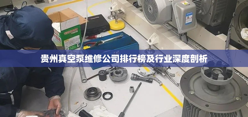 贵州真空泵维修公司排行榜及行业深度剖析