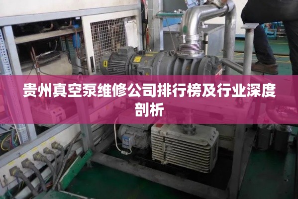 贵州真空泵维修公司排行榜及行业深度剖析